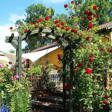 Barrel -schlafen Im Fass مكان تخييم