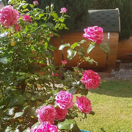 Barrel -schlafen Im Fass *